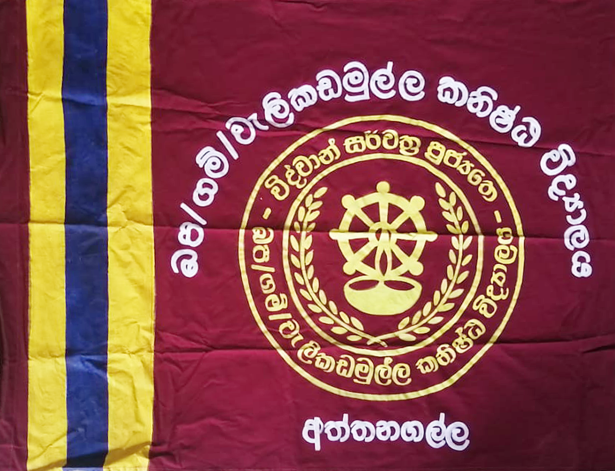 පාසල් කොඩිය
