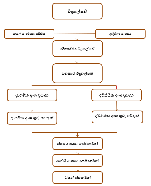 පරිපාලන ව්‍යුහය